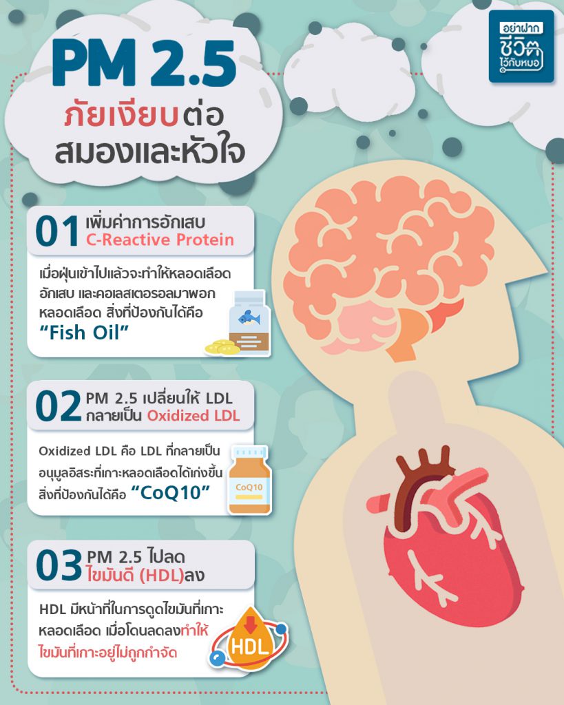 Photo of article PM 2.5 ภัยเงียบต่อสมองและหัวใจ